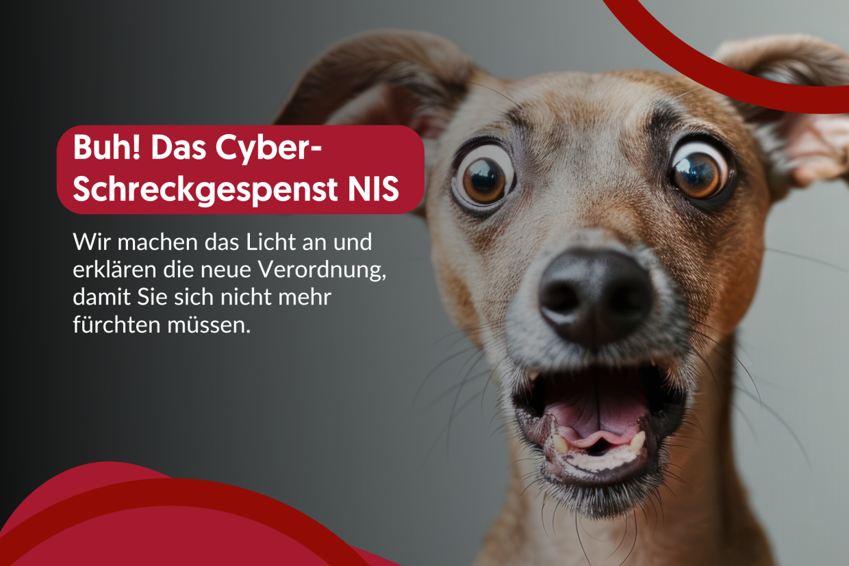 Artikelbild - „Buh! Das Cyber-Schreckgespenst NIS“