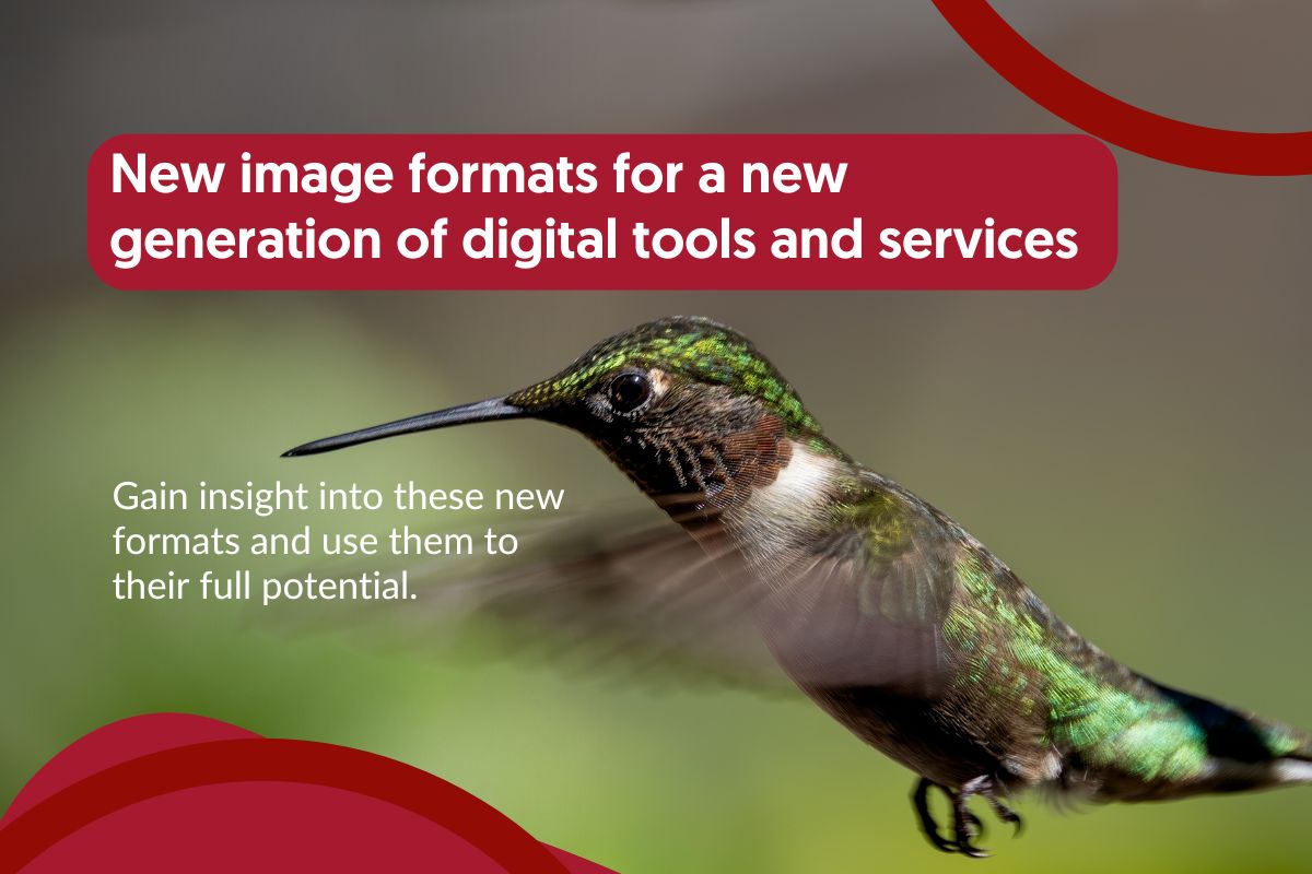Article image - New image formats