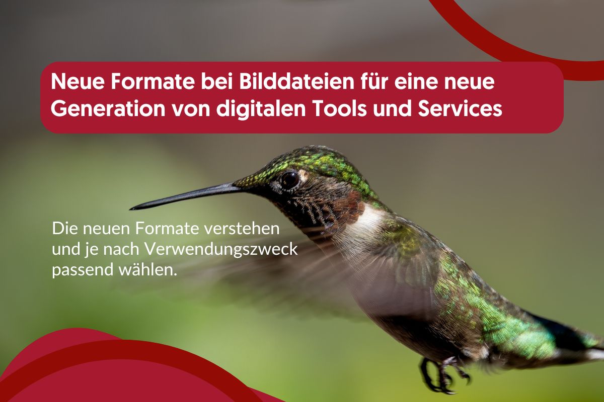 Artikelbild - Neue Formate bei Bilddateien
