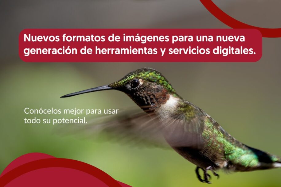 Imagen de artículo - Nuevos formatos de imágenes
