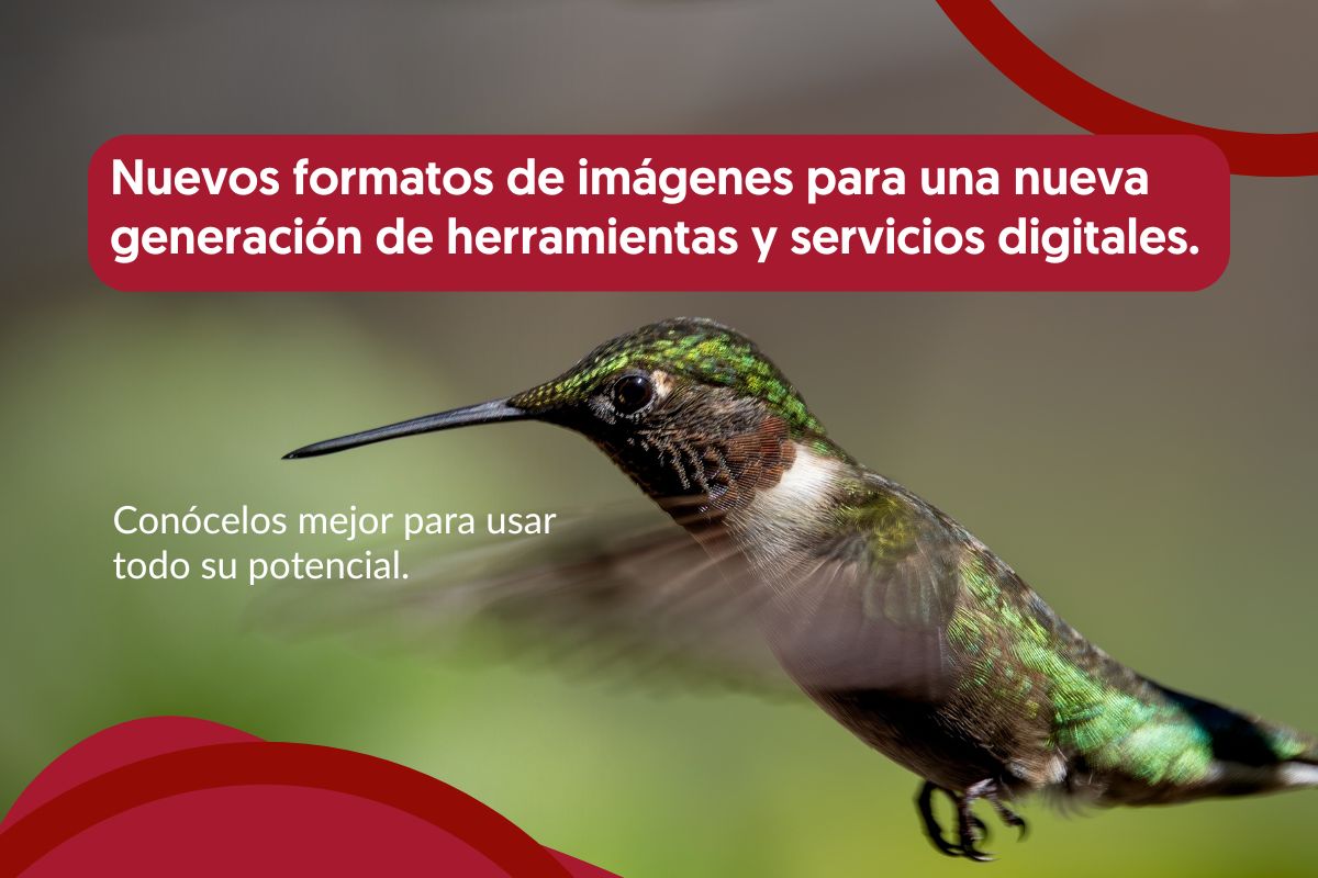 Imagen de artículo - Nuevos formatos de imágenes